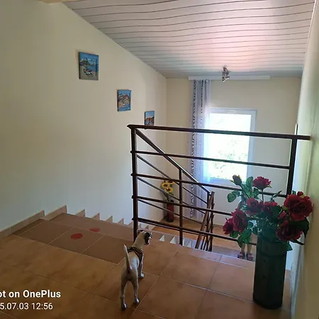 Pensionat фернандес 3*