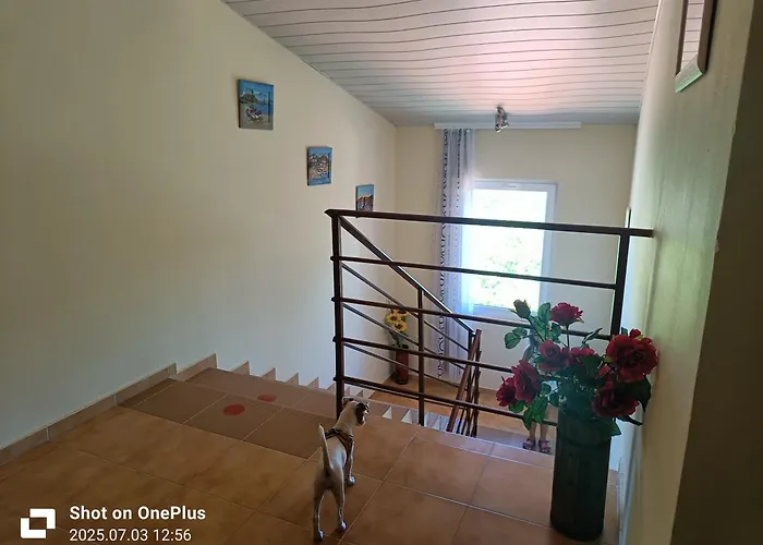 Gasthuis фернандес 3*